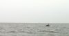 IMG_4611aaorca.jpg IMG_4611aaorca.jpg