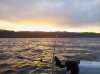 2013-06-16 05.34.24.jpg