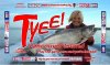 Tyee 1.jpg