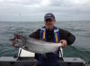 WestportKingFishing6_23_2013.jpg
