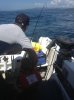 Dylan Fish on.jpg
