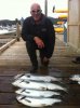 fish1.jpg
