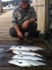 fish2.jpg