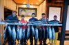 2013_08_31 - BCFishing244 - Version 2.jpg