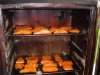 DSC01127.jpg