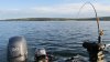 lac la hache 2013 009.jpg