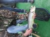 20131013_080019.jpg