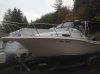 Boat and trailer.jpg