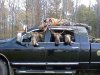 Moose Hunt.jpg