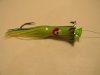 DSCN4973.jpg