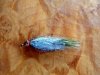 flashfly.jpg