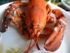 lobster_dinner.jpg