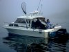 44 lb mazels fish sooke.jpg
