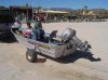 DSC01289.jpg