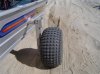 DSC01291.jpg