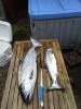 20140309_143342.jpg