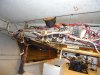 DSC01193.jpg