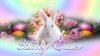 happy-easter-bunny-wallpaper-picture5.jpg