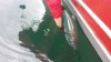 20140615_134802.jpg