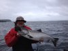 Port Alberni spring 2014.jpg