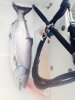 FishyJuly05.jpg