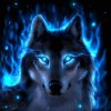 1366783203_blue_wolf.jpg