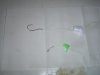 DSC01349.jpg