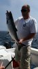 20140809_145817.jpg