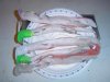 DSC01365.jpg