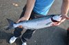 DSC_0179.jpg