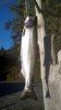 100_0051.jpg
