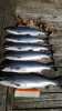 WP_20140928_004.jpg