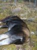 DSCN3774.jpg