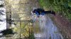 20141029_130304.jpg