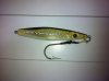 reef raider 011.jpg
