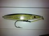 reef raider 012.jpg