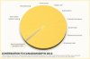 tarsands-gdp-today-500x333.jpg