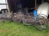 crab traps.jpg