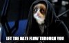 Cat Hate.jpg