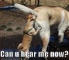 can you.jpg