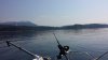 20140823_110341.jpg