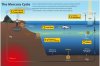 mercury-cycle.jpg