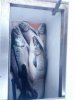 IMG_20130926_073900.jpg