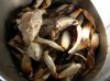 DSCN3953.jpg