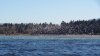 DSC06866.jpg