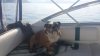 20150307_094156.jpg