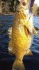 20150312_175215.jpg