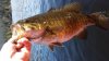 20150405_120813.jpg