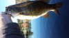 20150405_101124.jpg