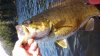20150405_113619.jpg